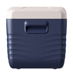 Lada frigorifica auto profesionala cu compresor NX30 Blue 28L