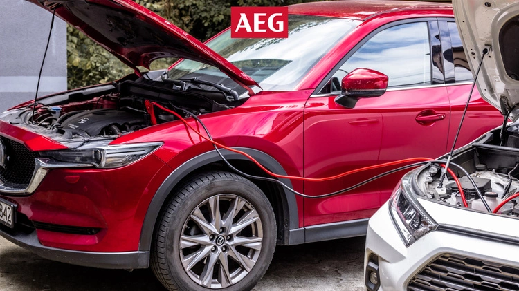 Cabluri de pornire AEG DIN 25 carcasă de protecție iluminată pentru pornire 1100A 3.5 m pol_pl_Kable-rozruchowe-AEG-DIN25-Podswietlane-StartProtect-Etui-49031_10